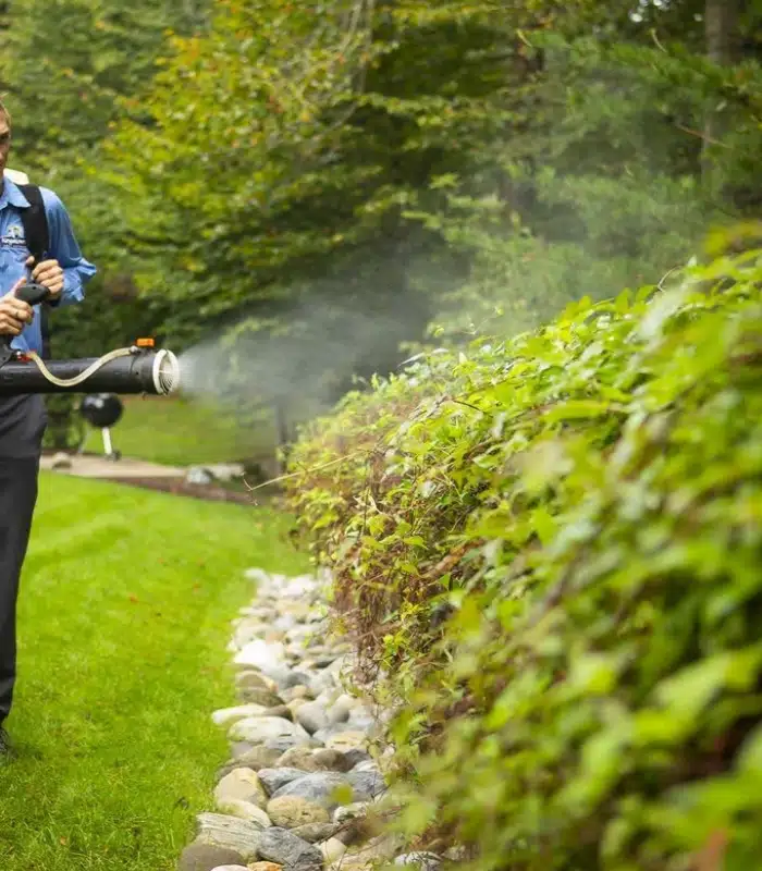 Mosquito control services