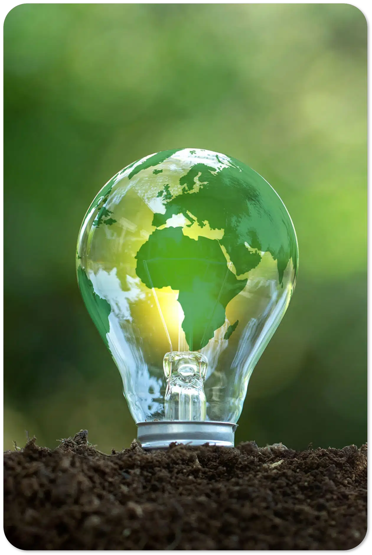 Ecological lawn & pest treatments