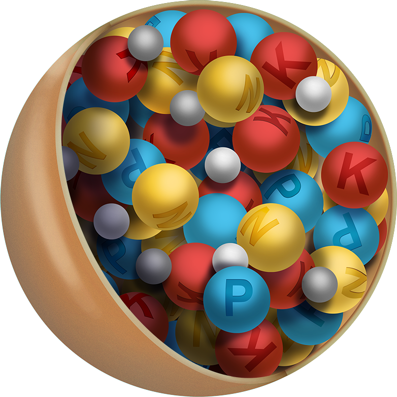 biological fertilizer