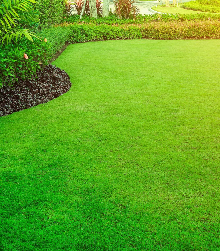 Lawn care services and treatments Huntsville AL