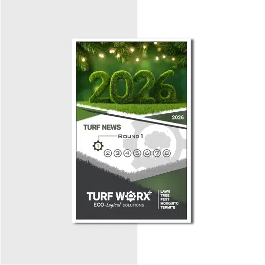 Turf Newsletter