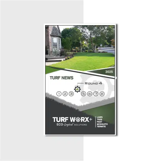 Turf Blog