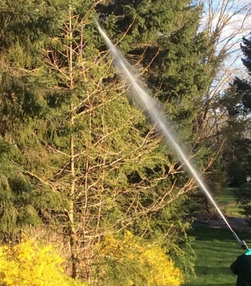 Tree and Shrub insect and disease specialists