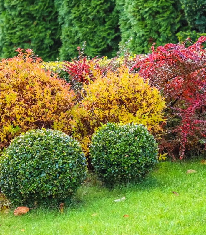 Tree and Shrub insect and disease specialists