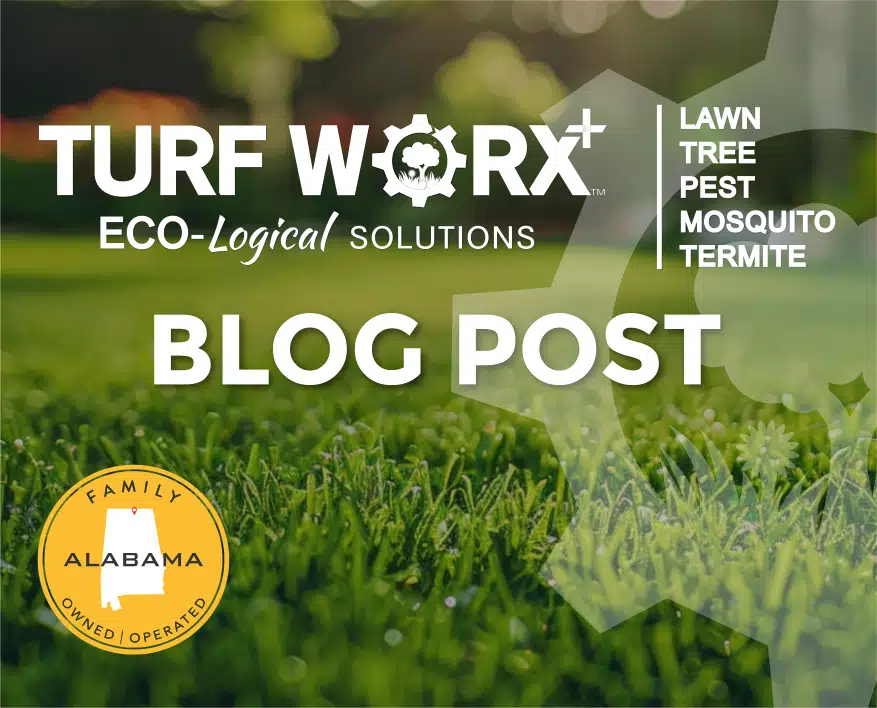 Dynamic Content Image