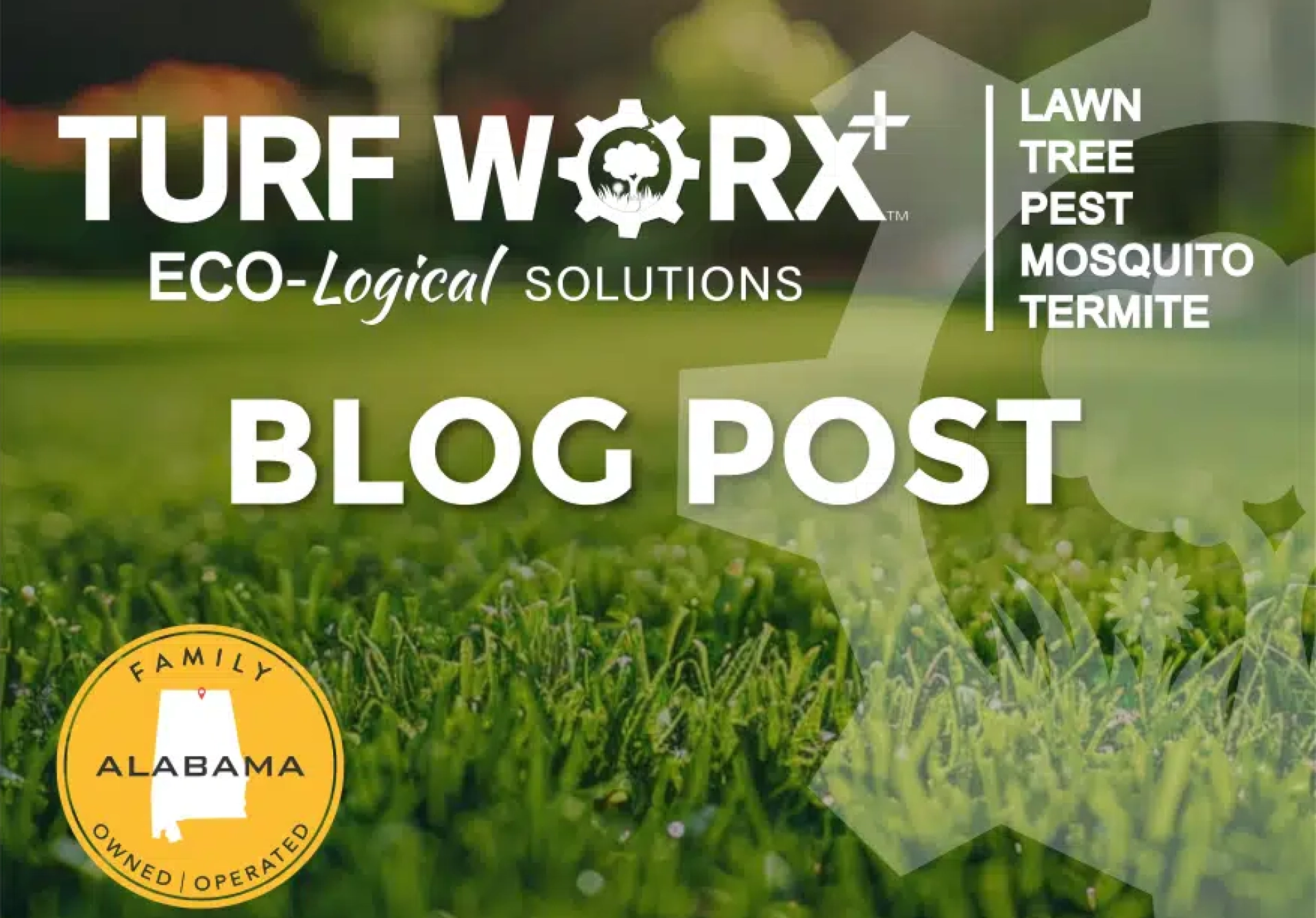 Identify Drought Stress