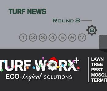 What's Coming Up...Round 8