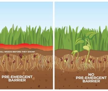 The PROOF is in the SOIL - Weed Prevention