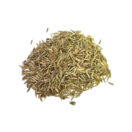 lawn seeding services